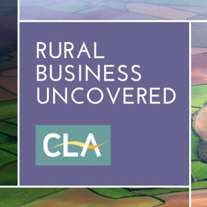 How to tackle the surge in fly tipping - CLA Rural Powerhouse 
